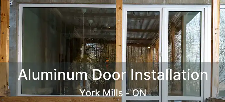  Aluminum Door Installation York Mills - ON