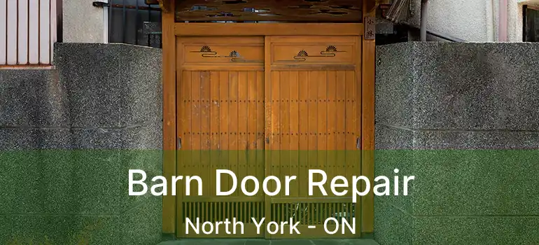  Barn Door Repair North York - ON