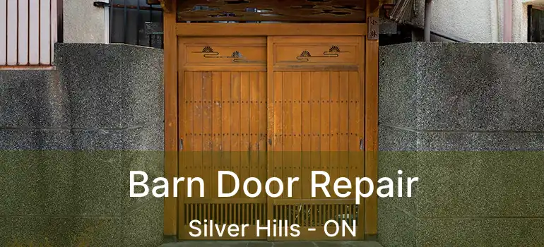  Barn Door Repair Silver Hills - ON