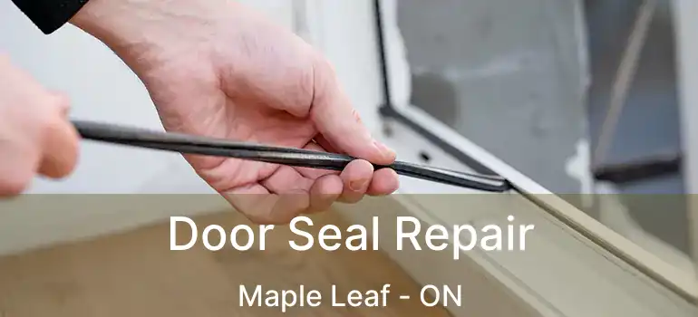  Door Seal Repair Maple Leaf - ON