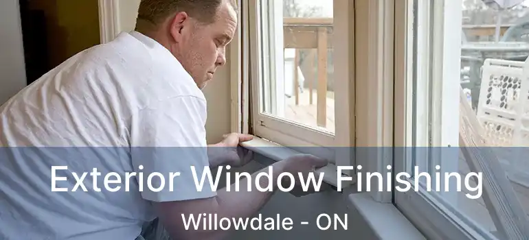  Exterior Window Finishing Willowdale - ON