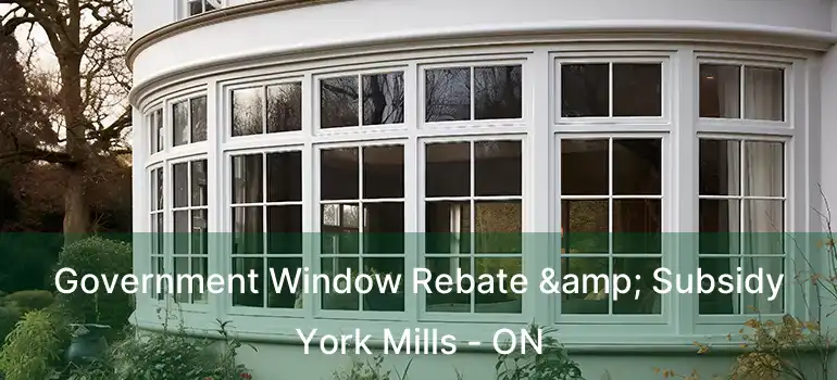  Government Window Rebate & Subsidy York Mills - ON