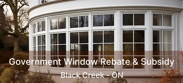  Government Window Rebate & Subsidy Black Creek - ON