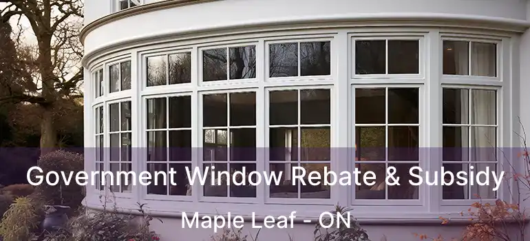  Government Window Rebate & Subsidy Maple Leaf - ON
