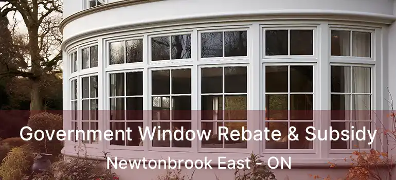  Government Window Rebate & Subsidy Newtonbrook East - ON