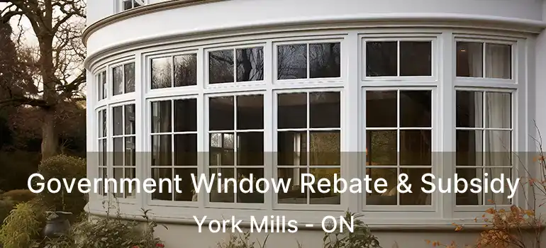  Government Window Rebate & Subsidy York Mills - ON