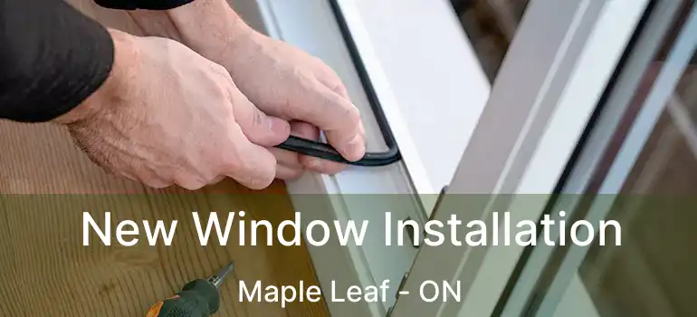  New Window Installation Maple Leaf - ON