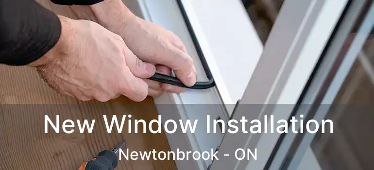  New Window Installation Newtonbrook - ON