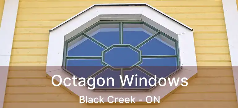  Octagon Windows Black Creek - ON