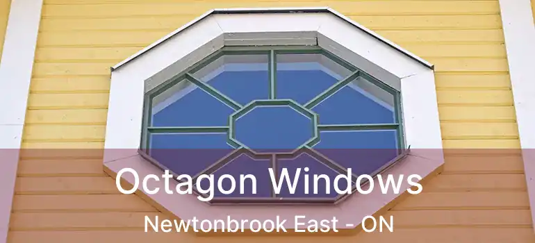  Octagon Windows Newtonbrook East - ON