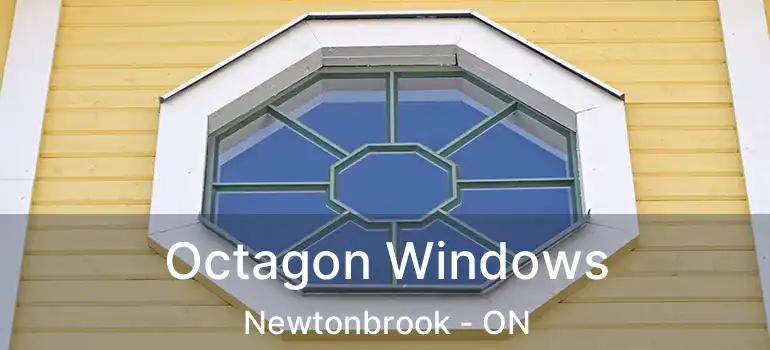  Octagon Windows Newtonbrook - ON