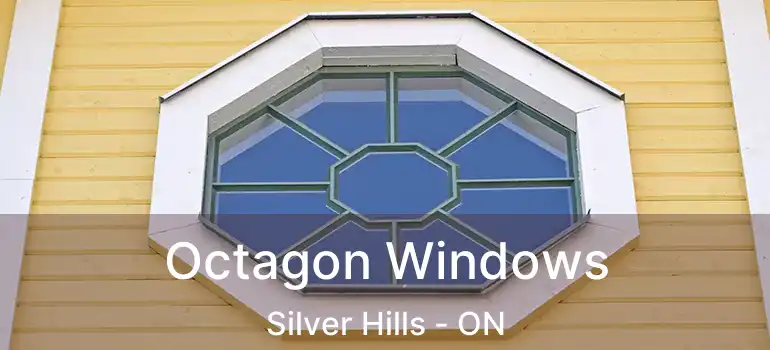  Octagon Windows Silver Hills - ON