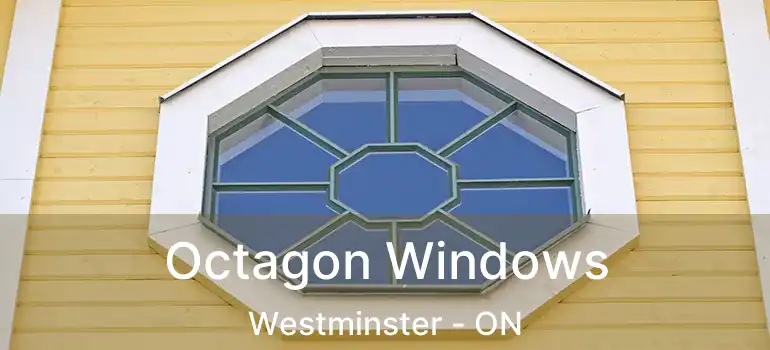  Octagon Windows Westminster - ON