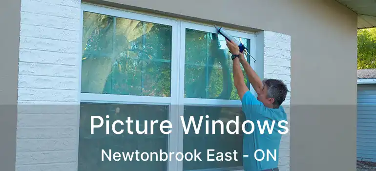  Picture Windows Newtonbrook East - ON