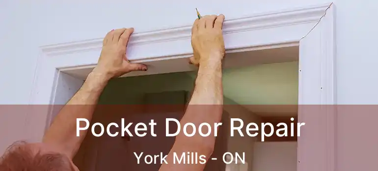  Pocket Door Repair York Mills - ON