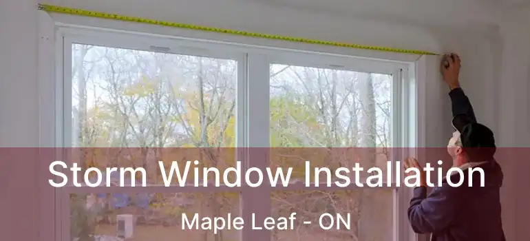  Storm Window Installation Maple Leaf - ON