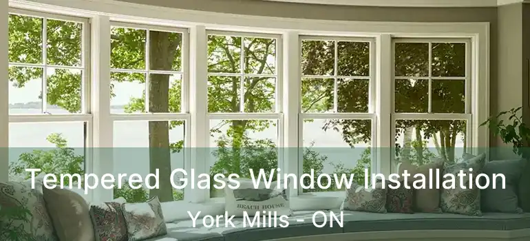  Tempered Glass Window Installation York Mills - ON