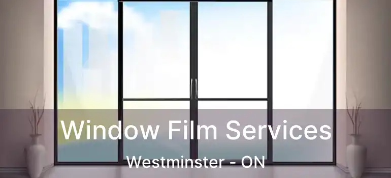  Window Film Services Westminster - ON