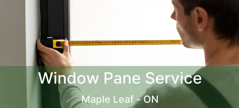  Window Pane Service Maple Leaf - ON