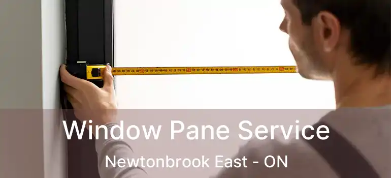  Window Pane Service Newtonbrook East - ON