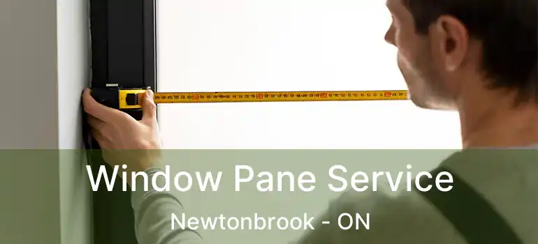  Window Pane Service Newtonbrook - ON