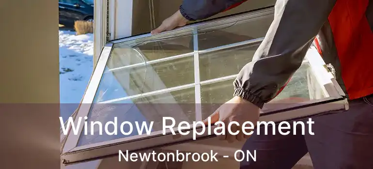  Window Replacement Newtonbrook - ON