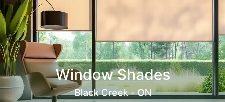  Window Shades Black Creek - ON