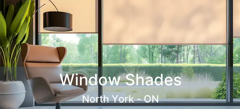  Window Shades North York - ON