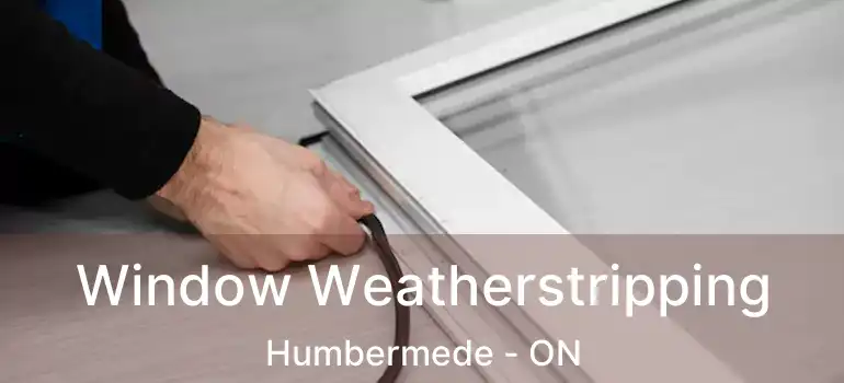  Window Weatherstripping Humbermede - ON