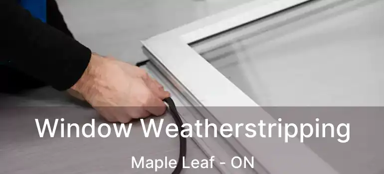  Window Weatherstripping Maple Leaf - ON