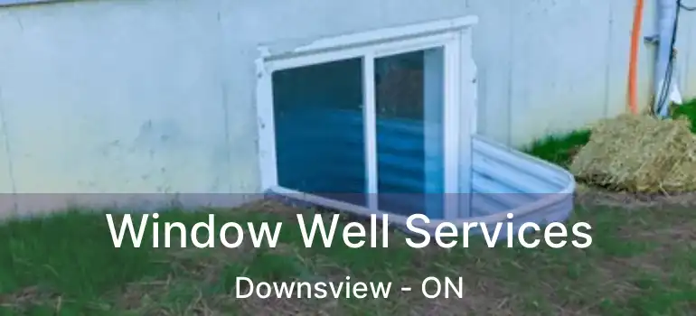  Window Well Services Downsview - ON